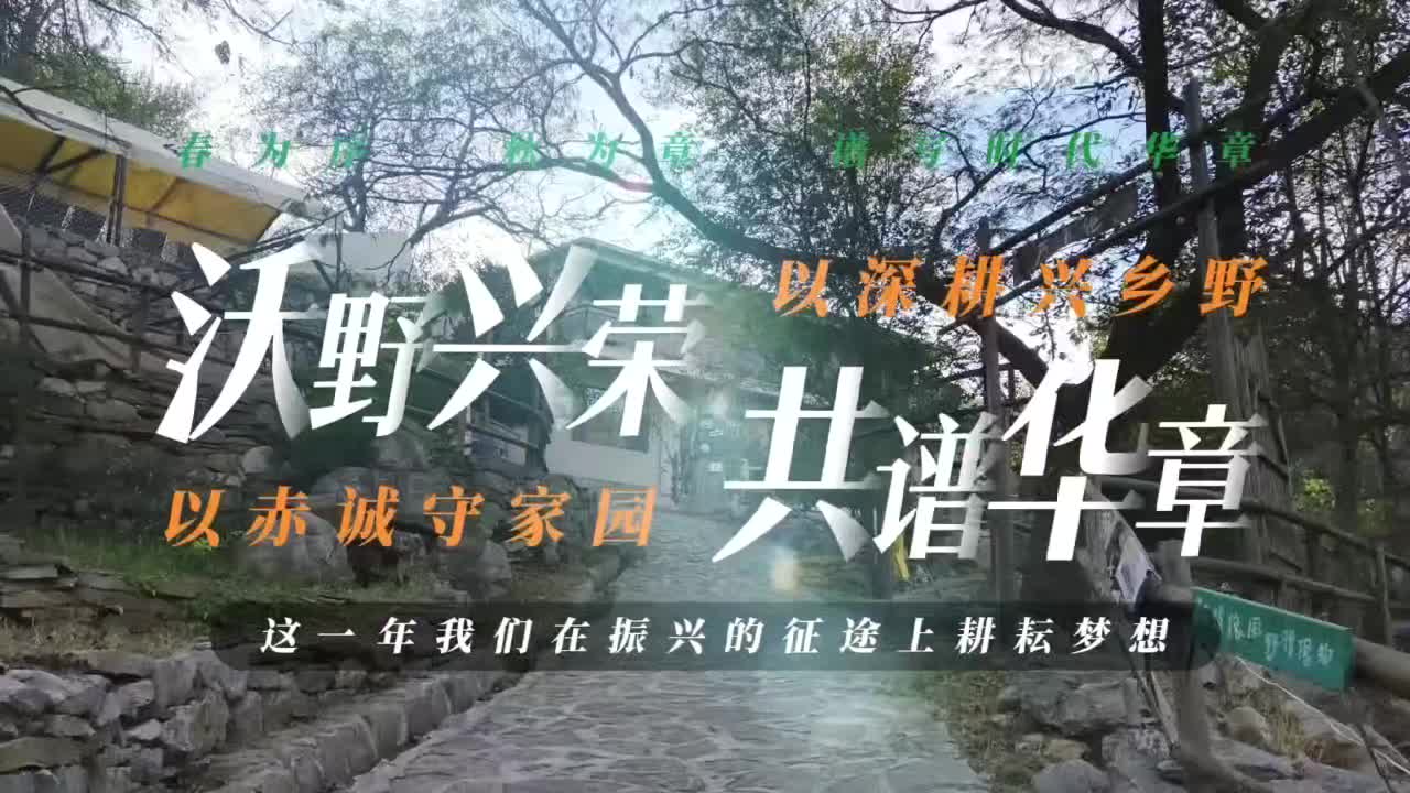 【新闻速递】青春同行，志愿践行——新闻传播系学子赴石子口村开展志愿服务活动