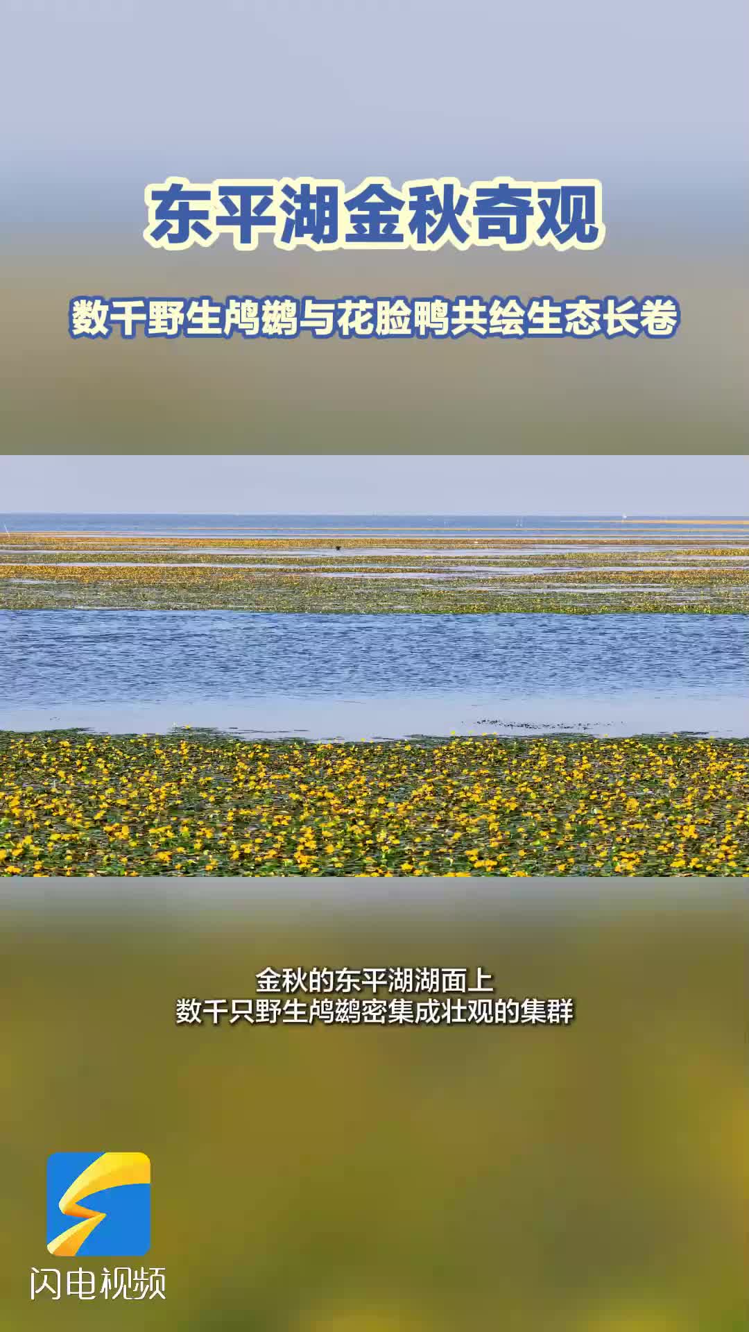 流云漫岱顶 秋日泰山上演气象奇观