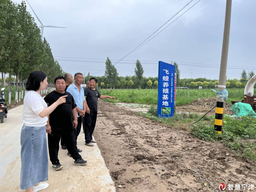 宁津县柴胡店镇图片