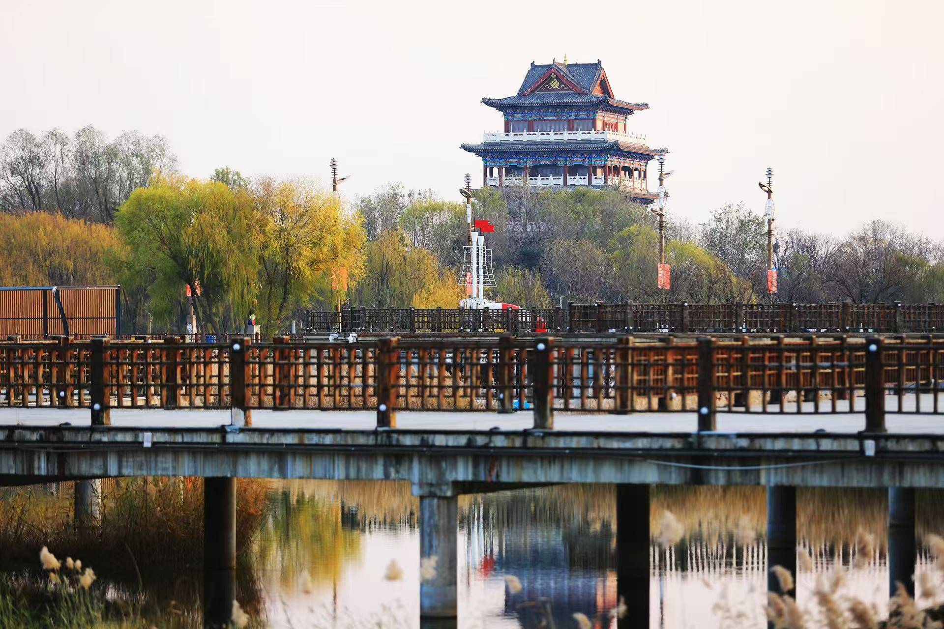 "活力新城 幸福宁津"的初冬