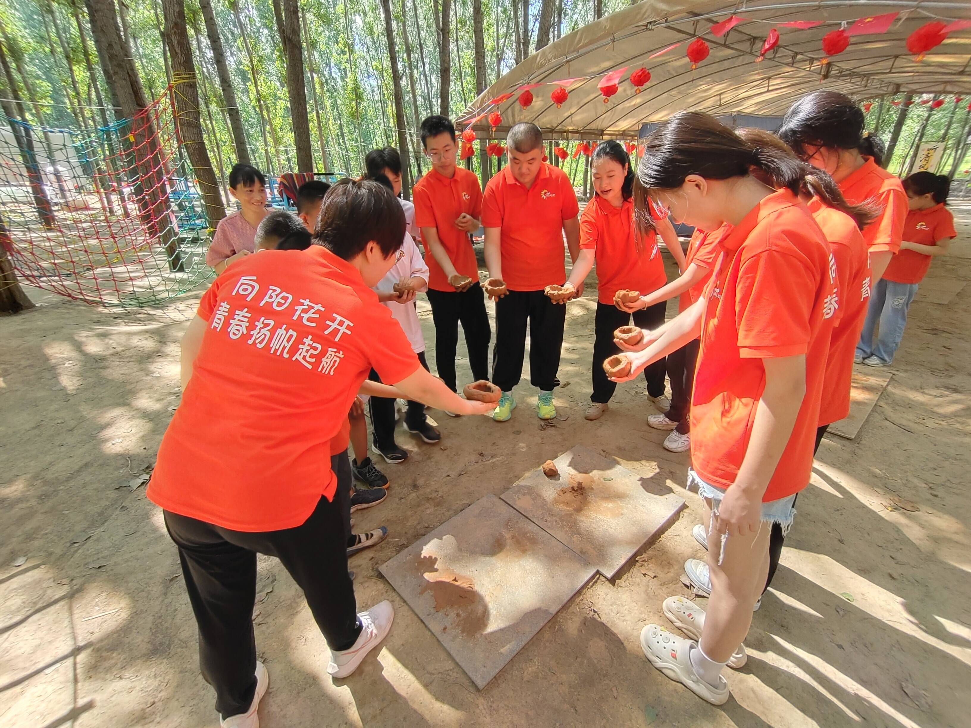 平阴大案图片