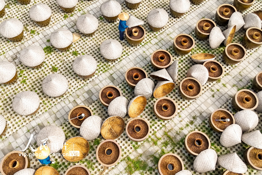 2024年9月21日，山东滕州市一家酱醋食品有限公司的工人在晾晒场上浇淋晒制酱油。