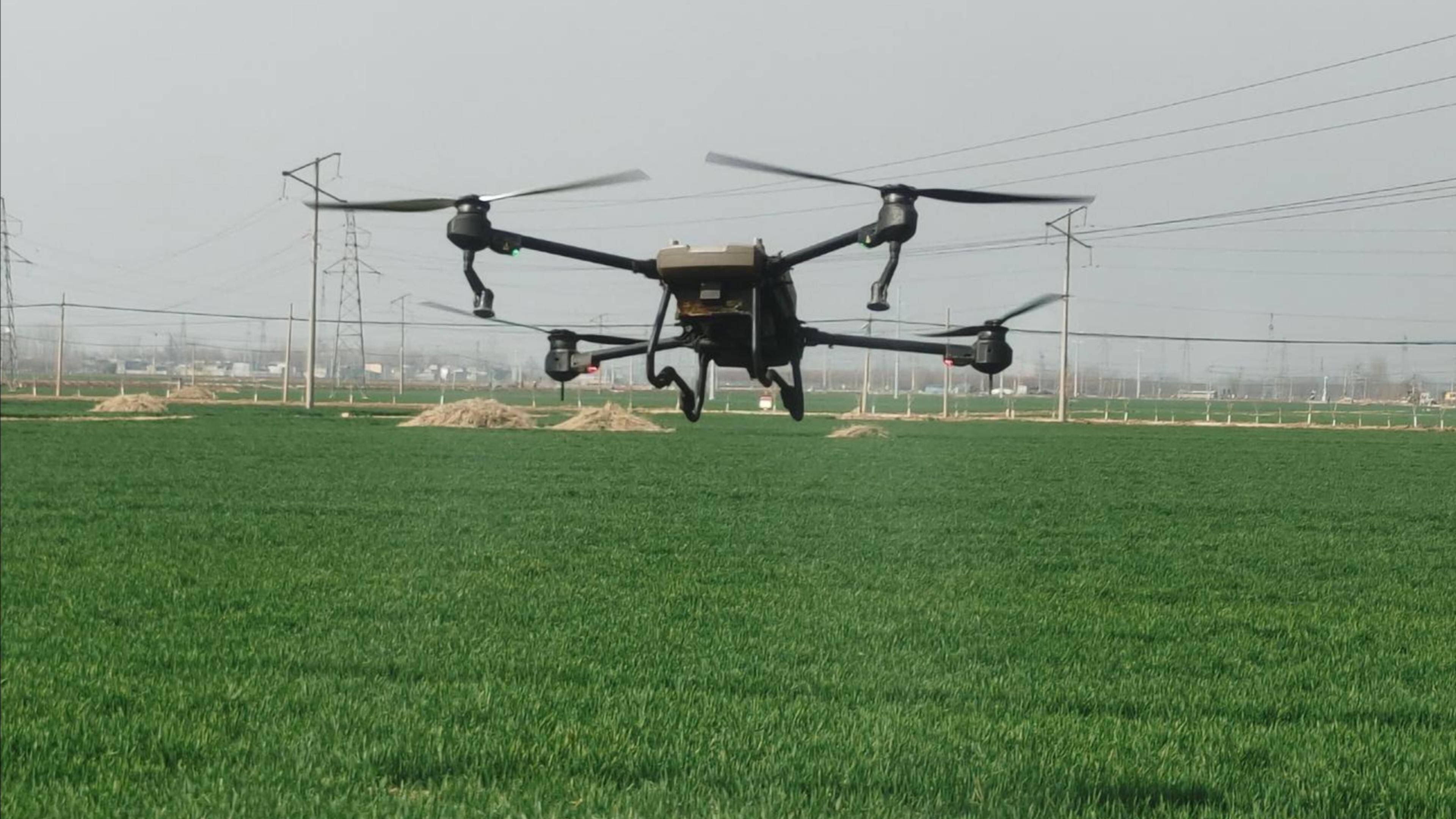 无人机飞防作业为滕州市3万亩麦田撑起保护伞