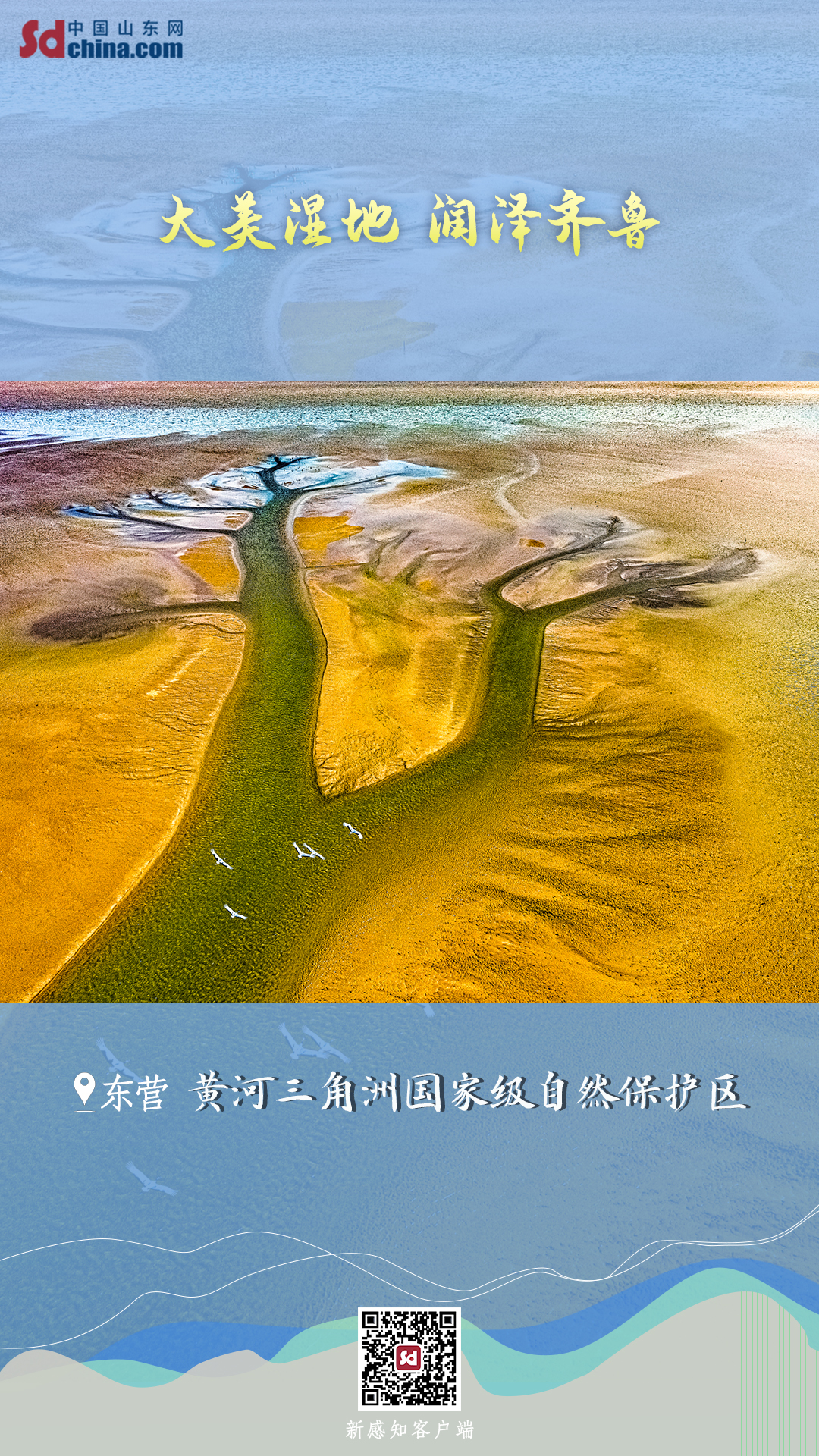 大美湿地润泽齐鲁系列海报之黄河三角洲国家级自然保护区