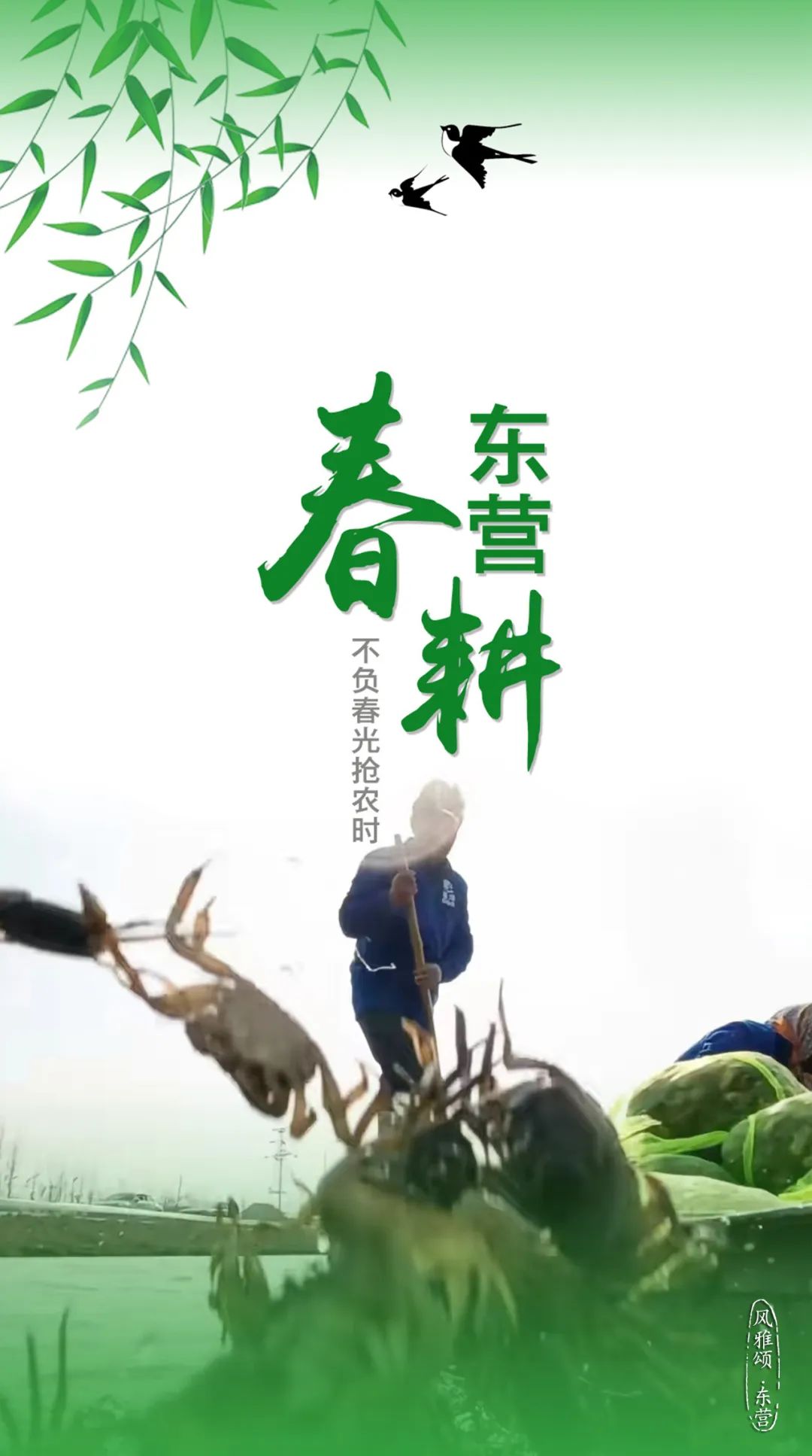 愚《颂古一百首》摄 影刘清明郑旭东 周广学杜剑孙广仁 刘曰强 刘智峰