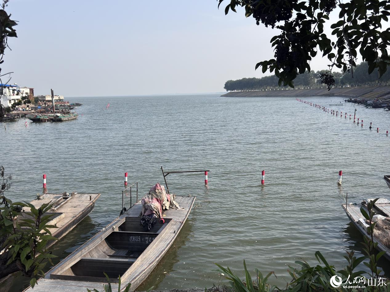 东平湖湖面在微风吹拂下荡起波纹。人民网 郑昕桥摄