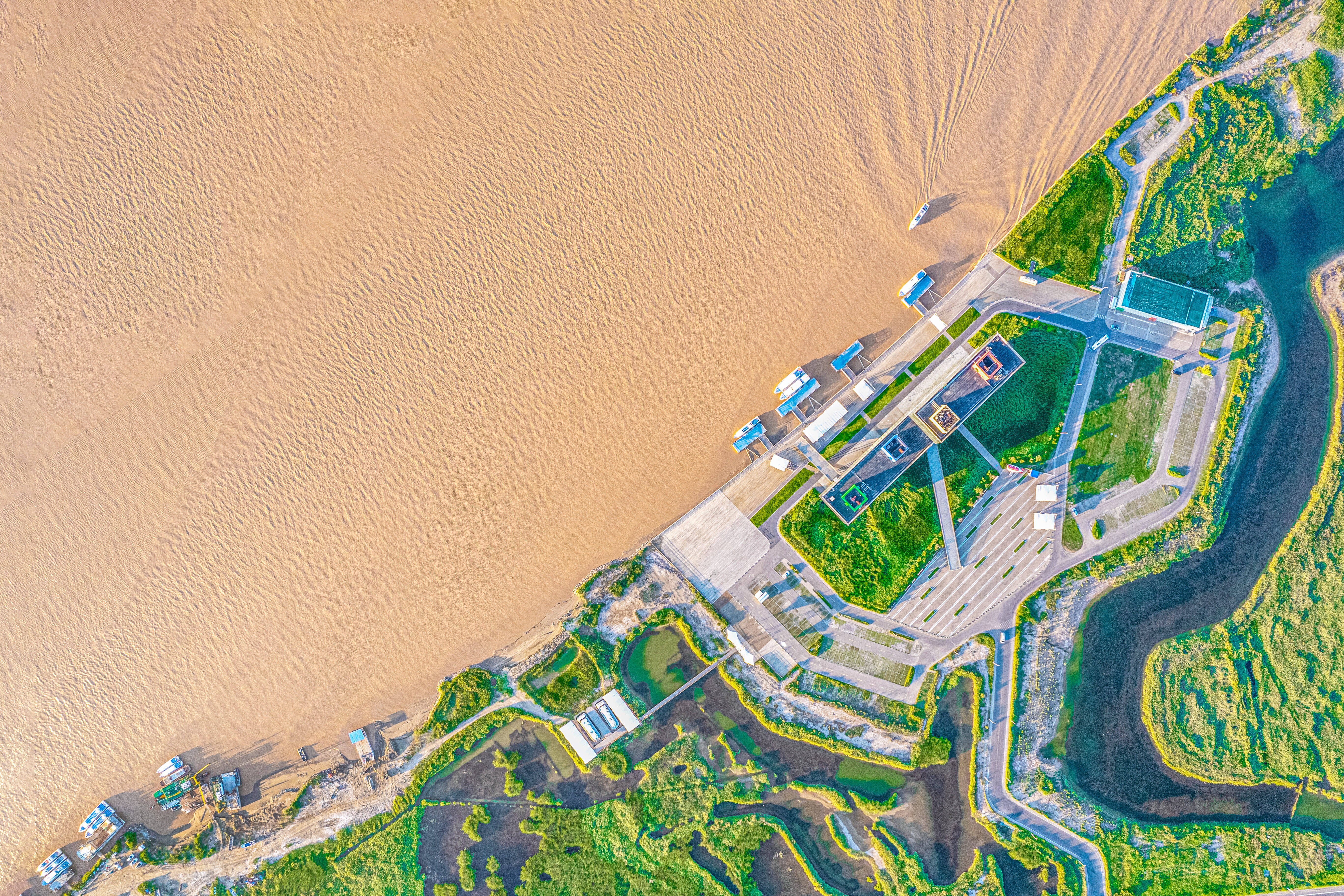 李长义拍摄地点:黄河三角洲国家级自然保护区拾贝拍摄者:陈丽玲拍摄