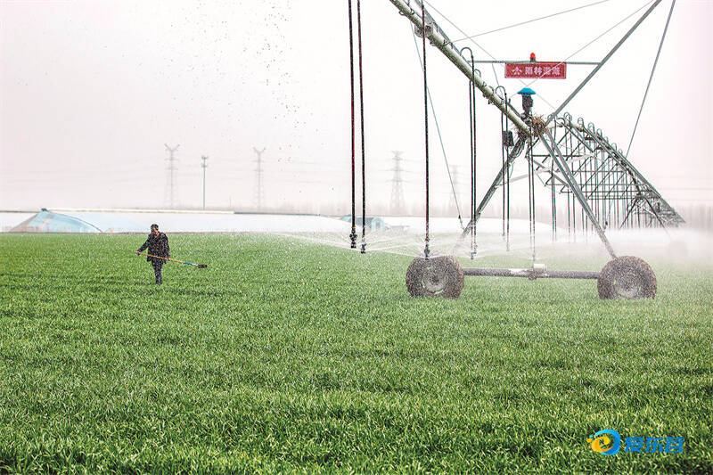 打造乡村振兴齐鲁样板丨节水灌溉助增收