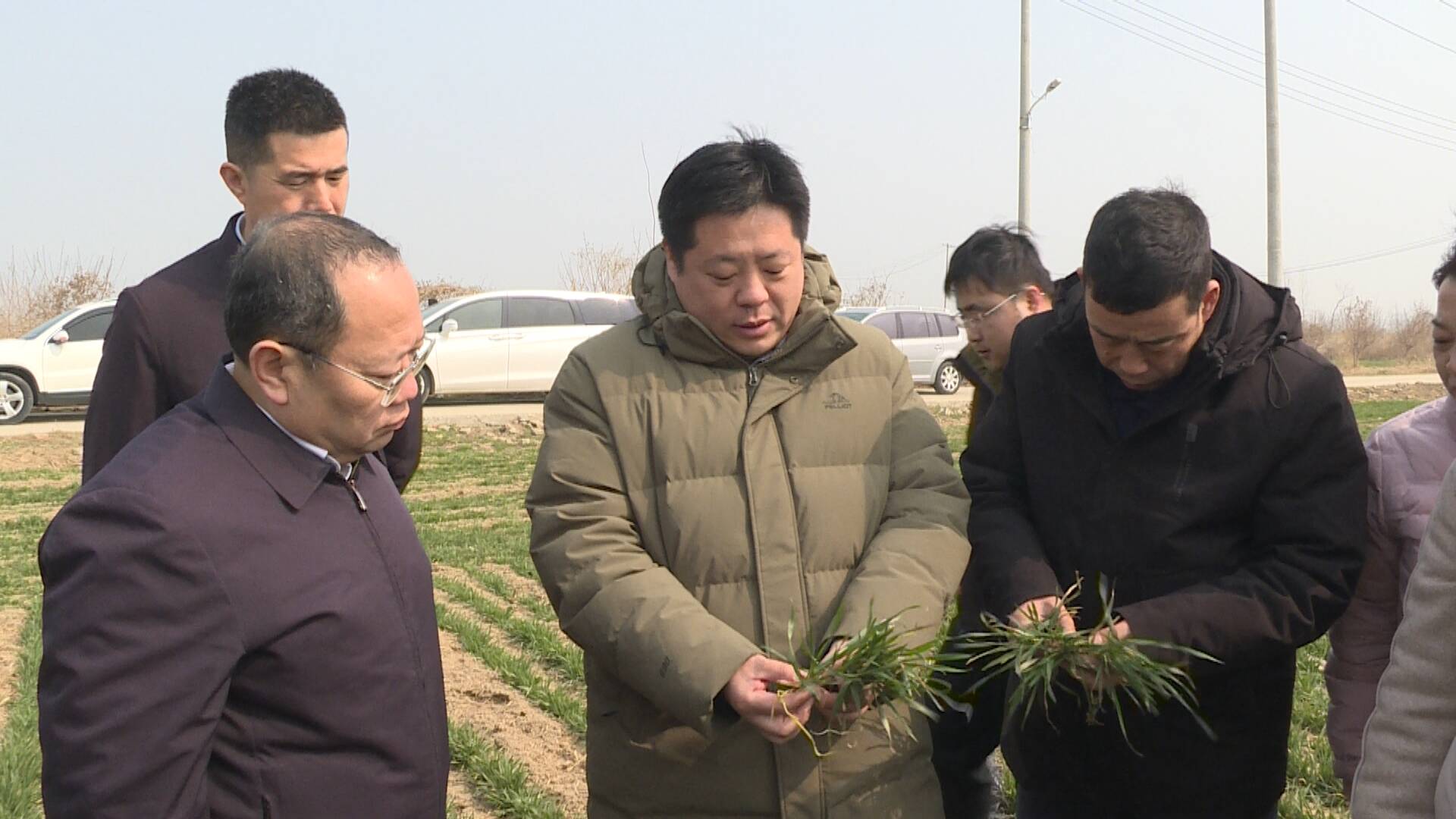 山东省农业农村厅组织农业专家来巨野开展春季小麦苗情考察和技术指导