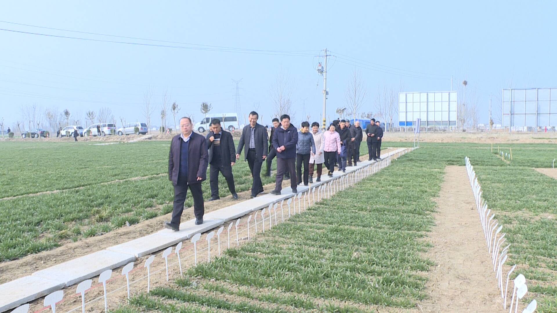 山东省农业农村厅组织农业专家来巨野开展春季小麦苗情考察和技术指导