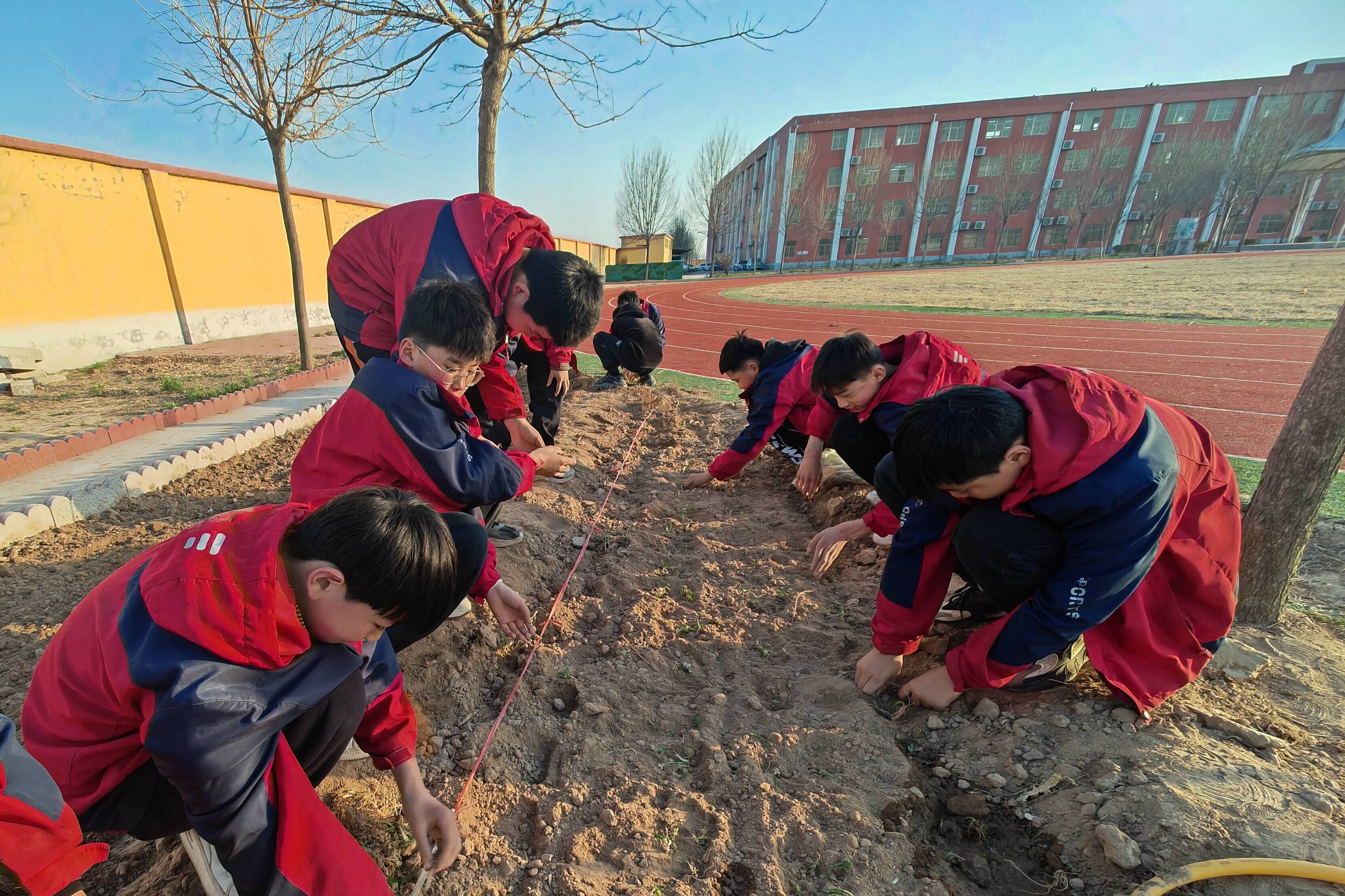 郓城三月春来满地暖正是劳动好时节