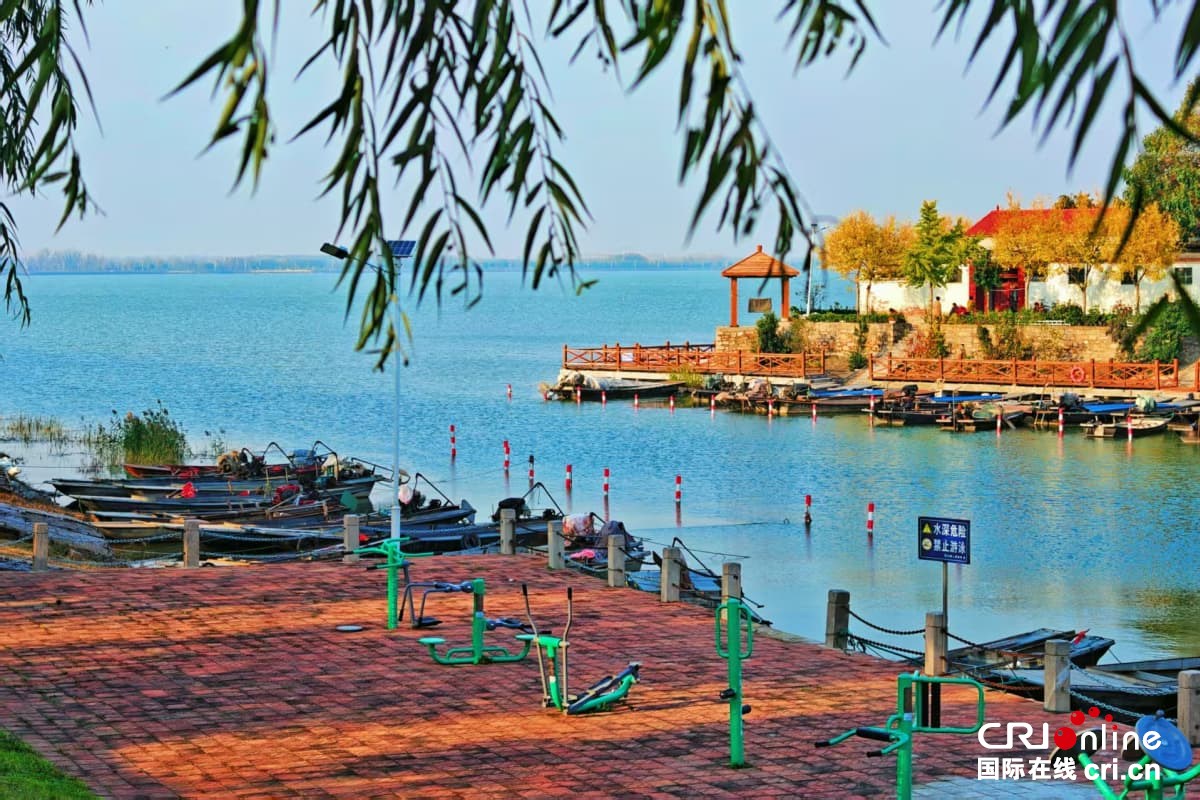 沿着黄河遇见海，感受“幸福河”的魅力与新生