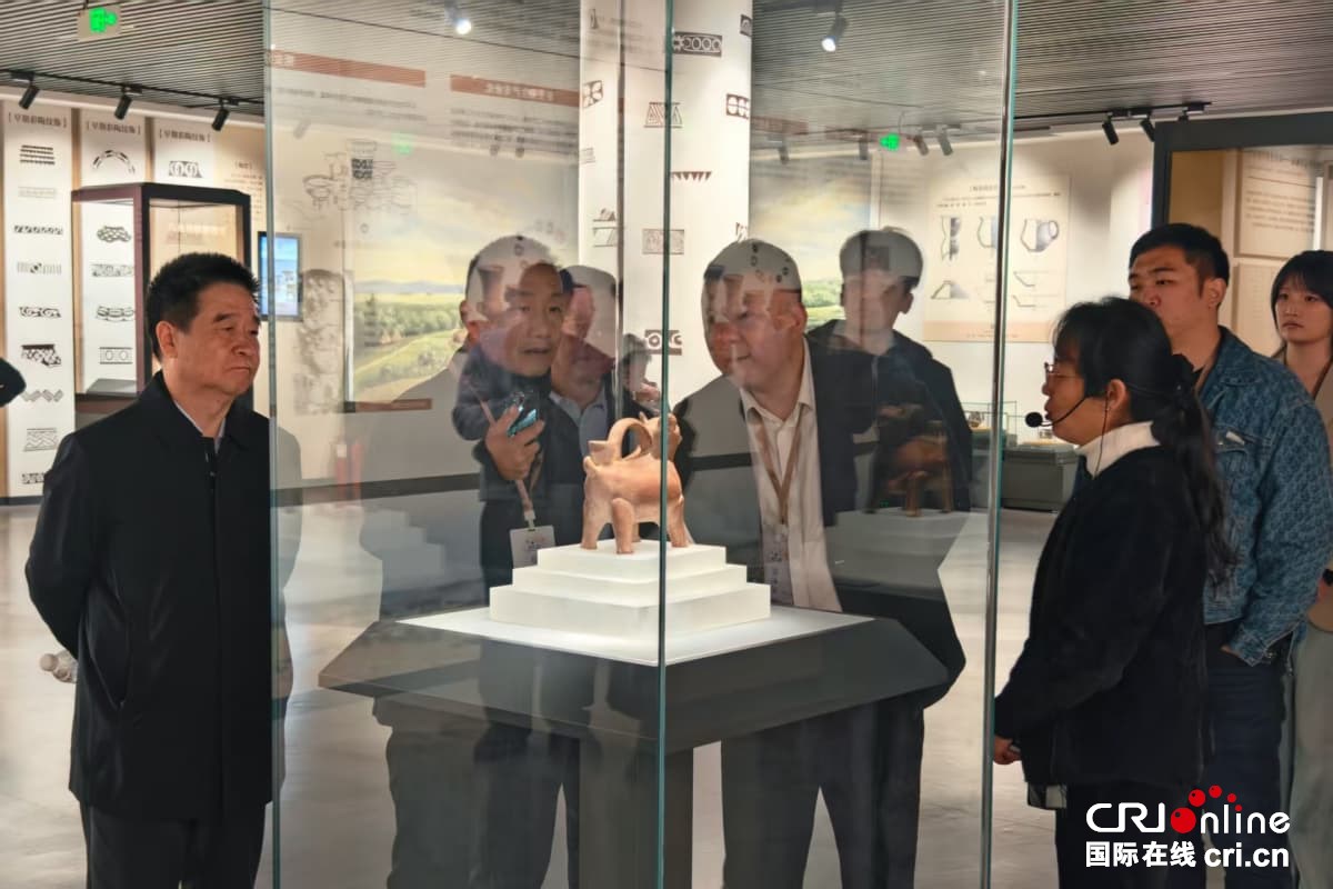 沿着黄河遇见海，感受“幸福河”的魅力与新生