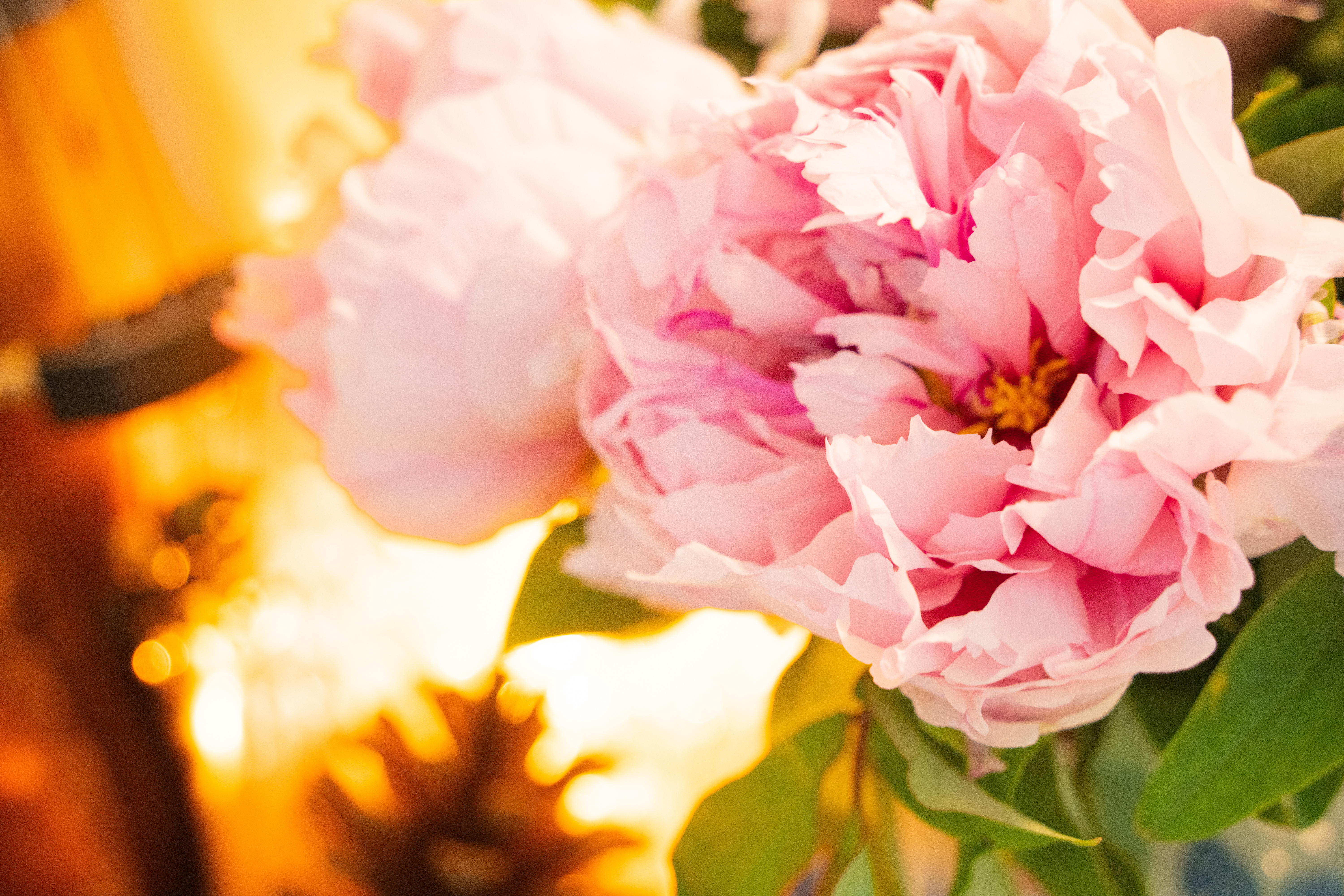 图片来源：摄图网