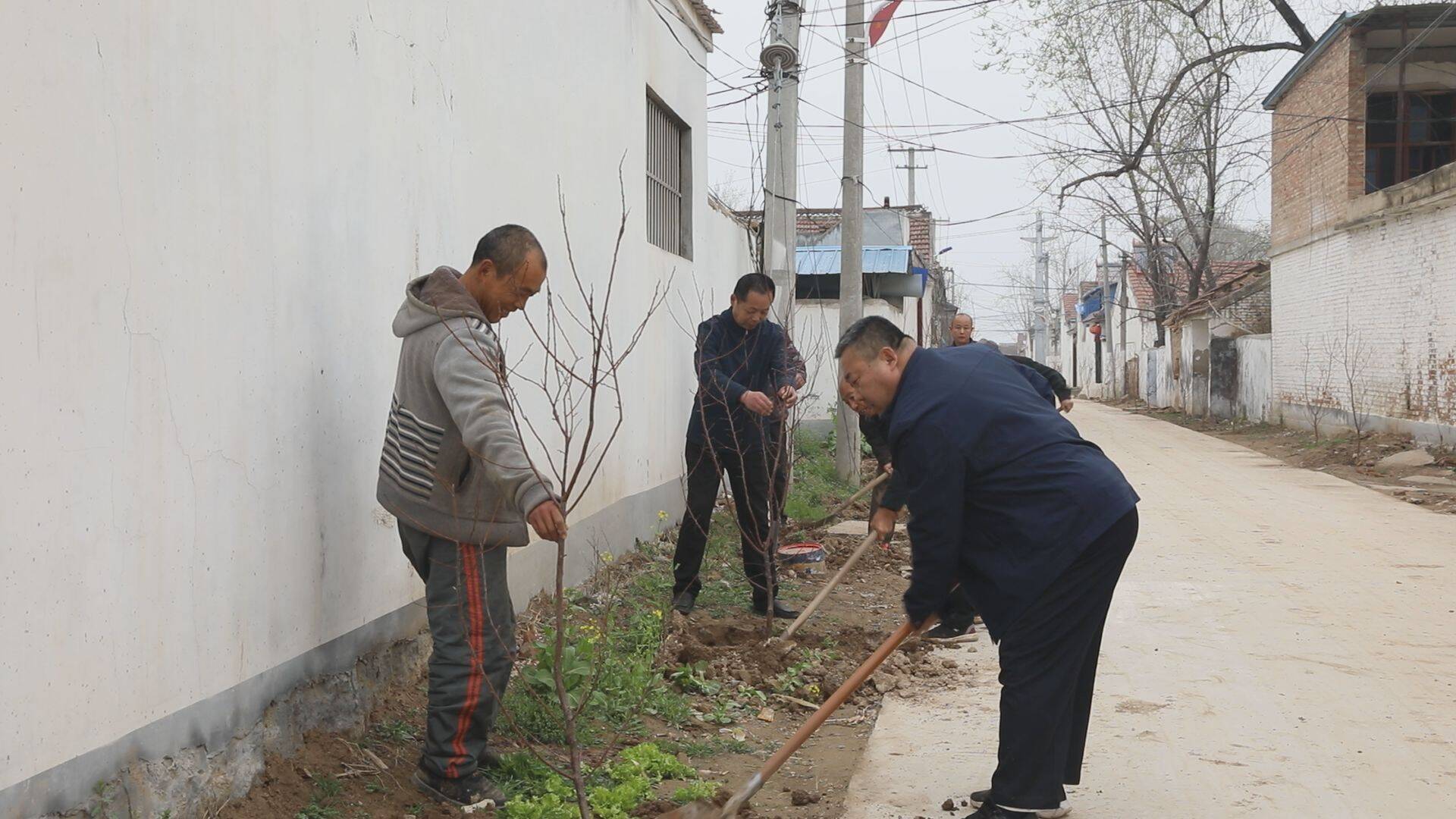 单县李新庄镇盘活闲散土地做活边角经济
