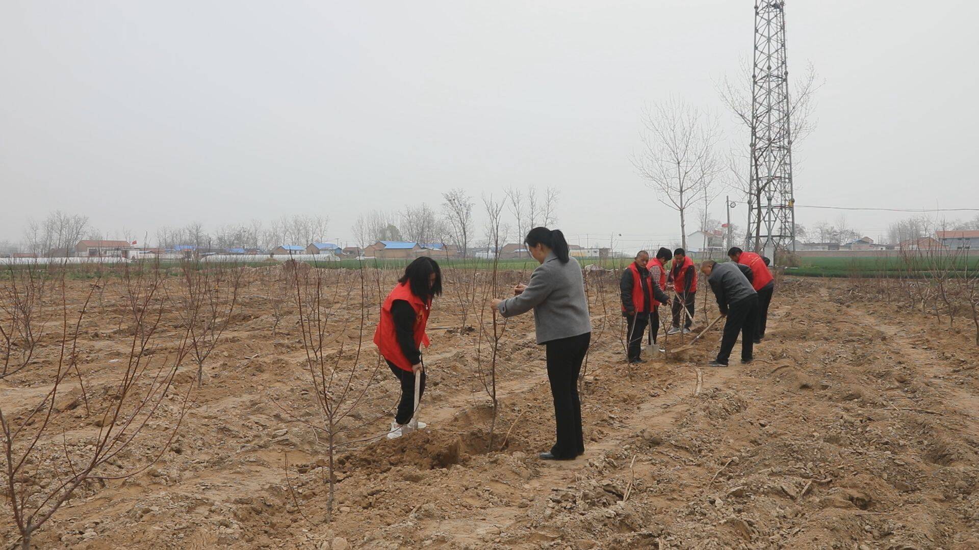 单县李新庄镇盘活闲散土地做活边角经济