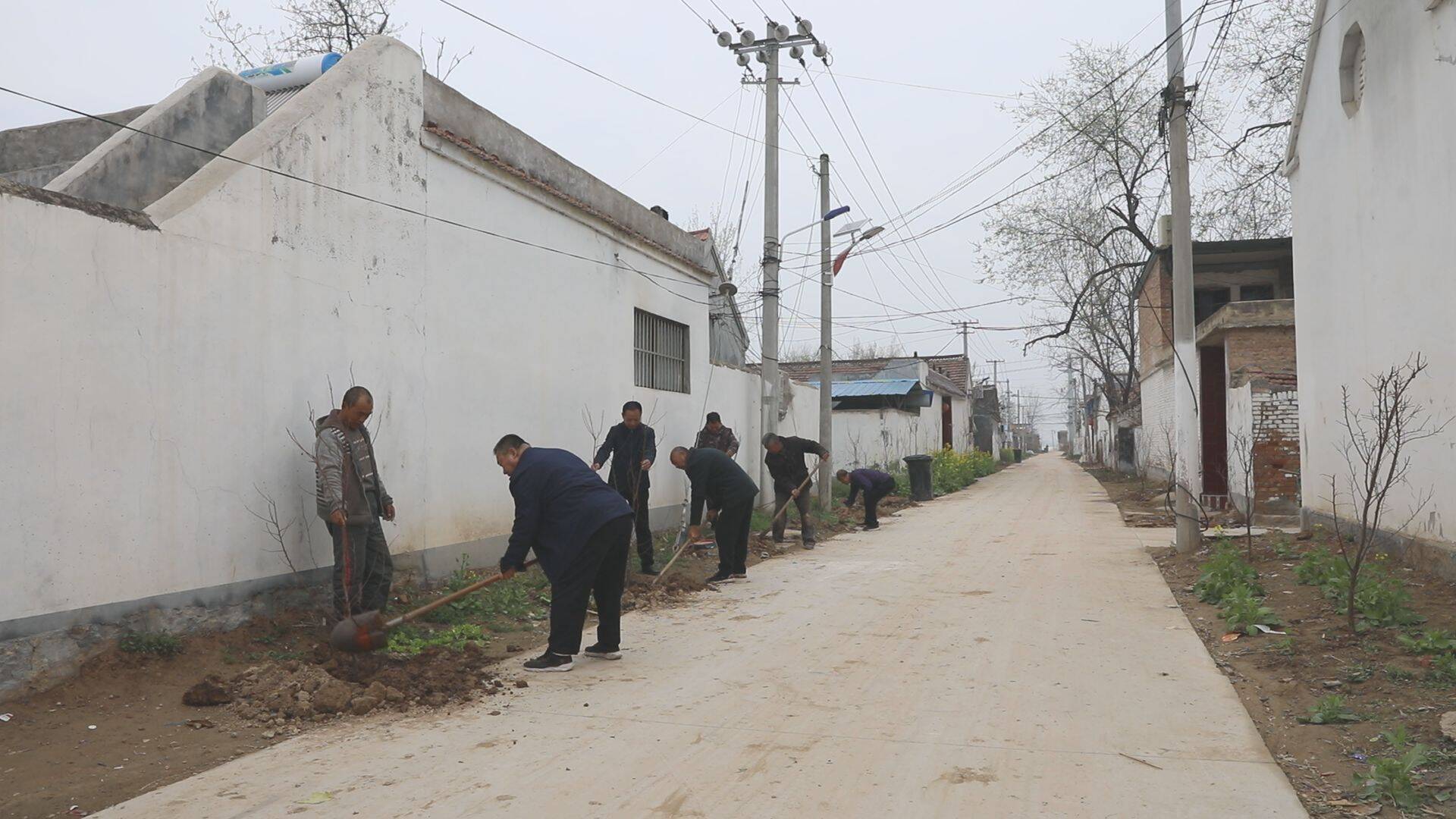 单县李新庄镇盘活闲散土地做活边角经济