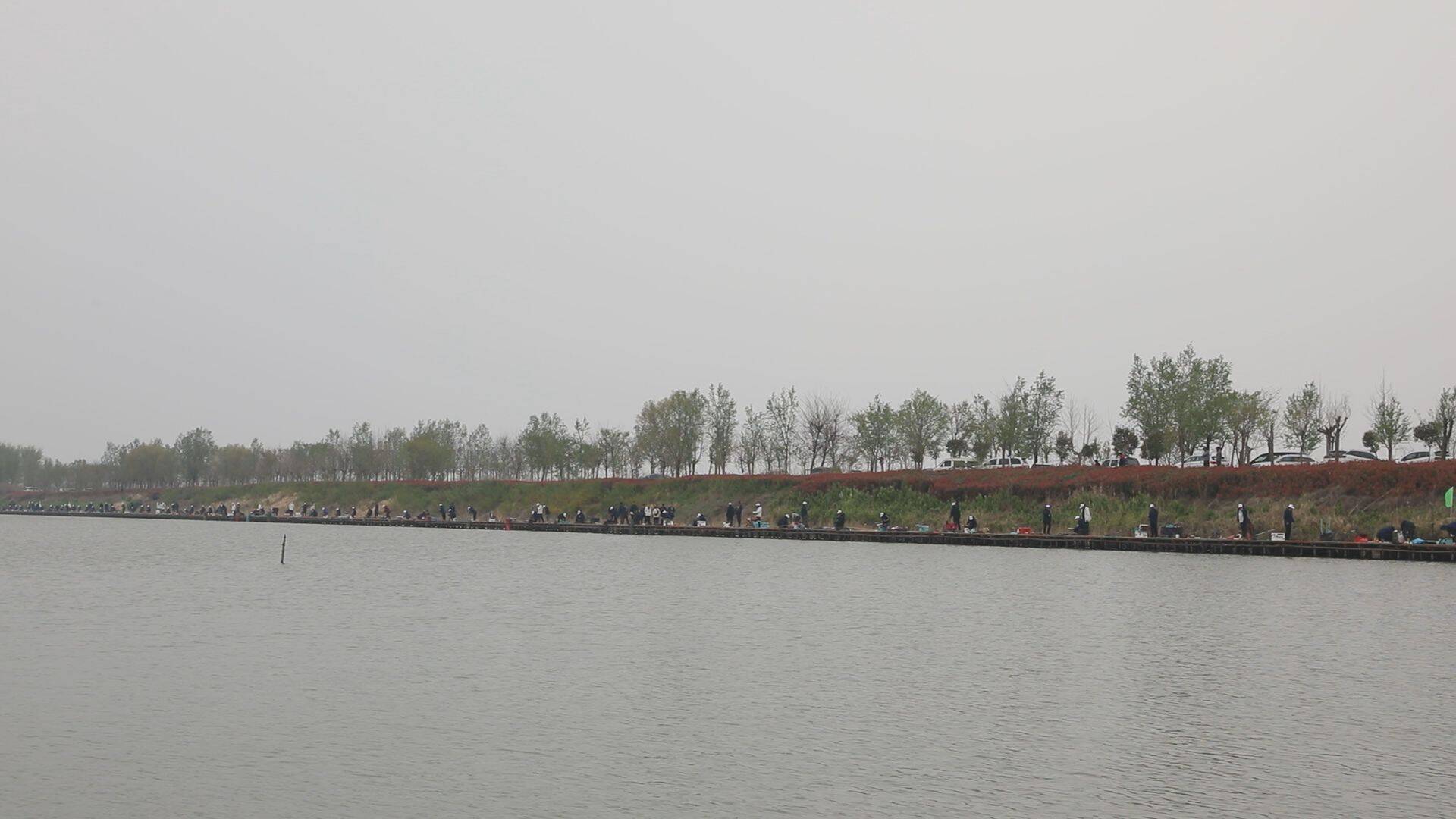 单县浮龙湖图片