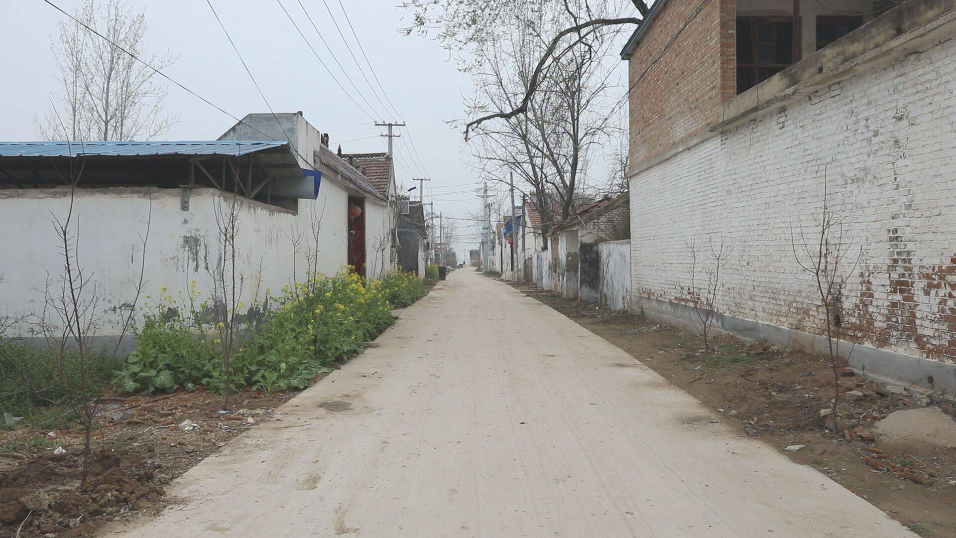 单县李新庄镇盘活闲散土地做活边角经济