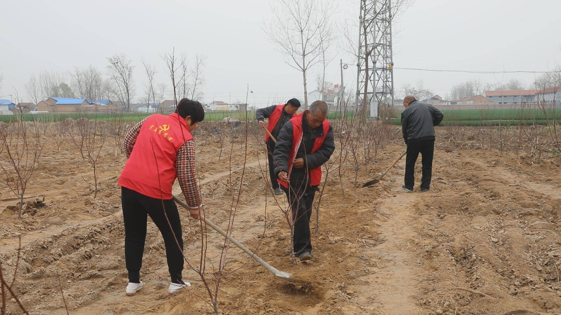 单县李新庄镇盘活闲散土地做活边角经济