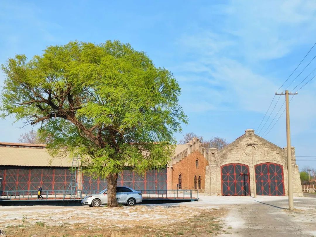 来潍坊市坊茨小镇打卡春天