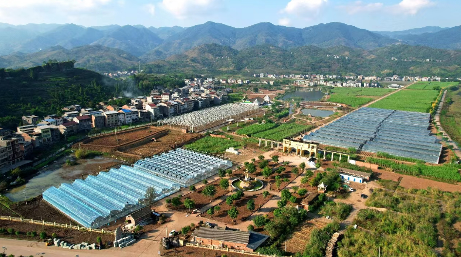 寿光市立足两地资源禀赋和产业发展需求,组织推动寿光农业,工业,商贸