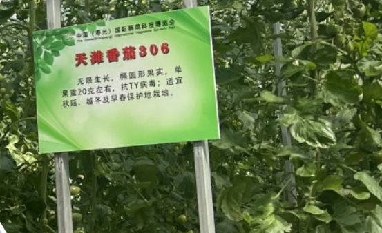 微信截图_20240421082942