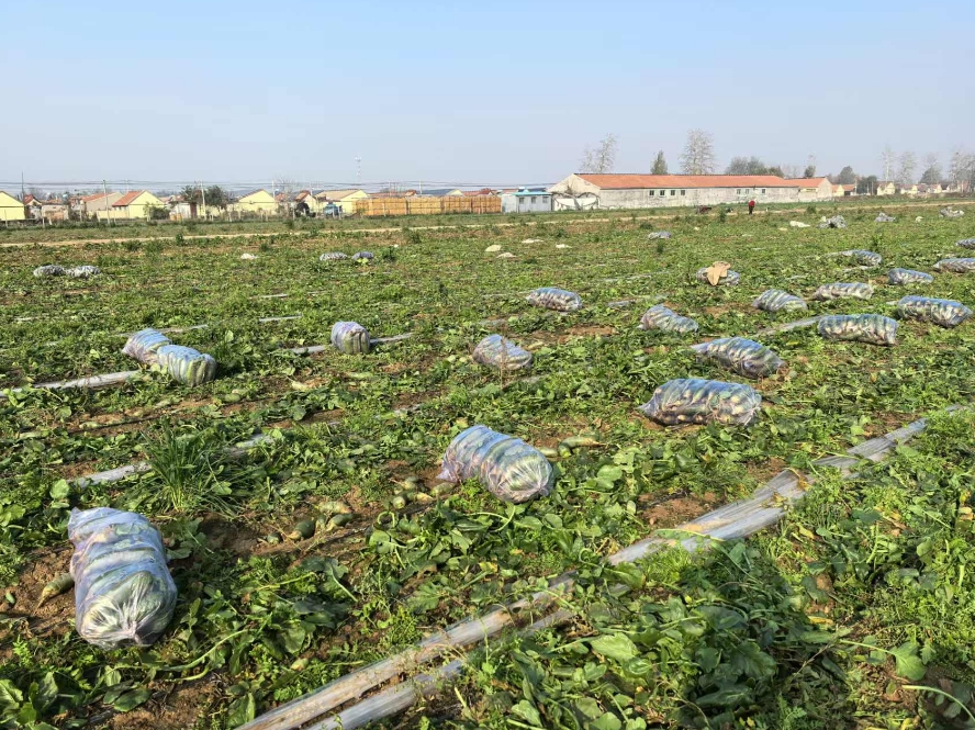 微信截图_20241120141513