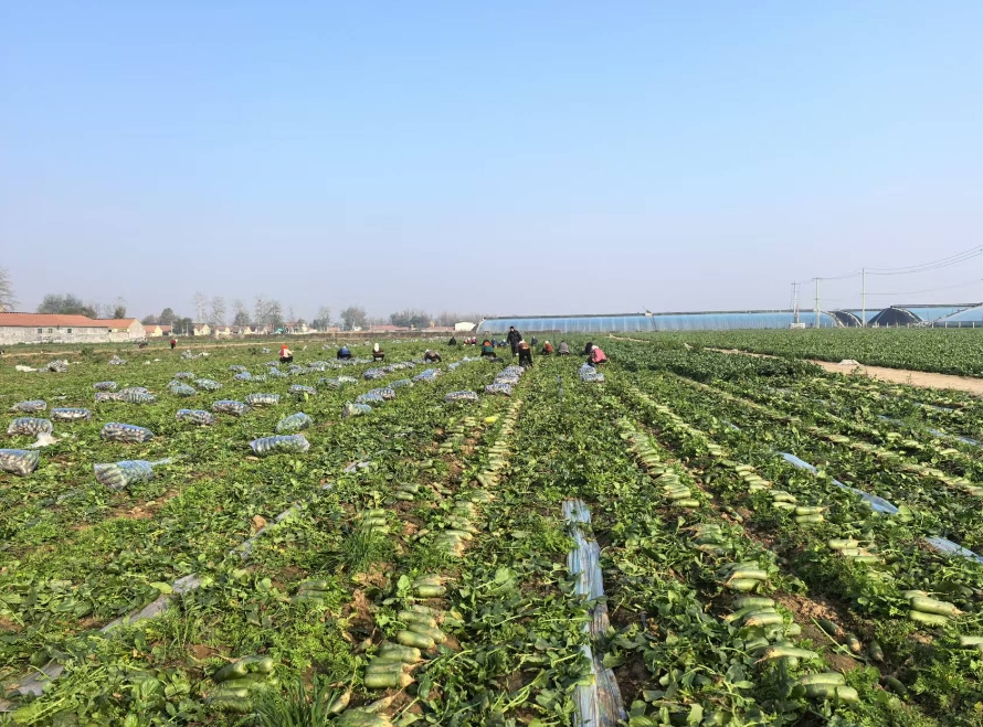 微信截图_20241120141503