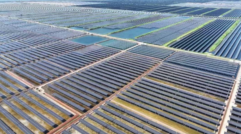 微信截图_20250109103613