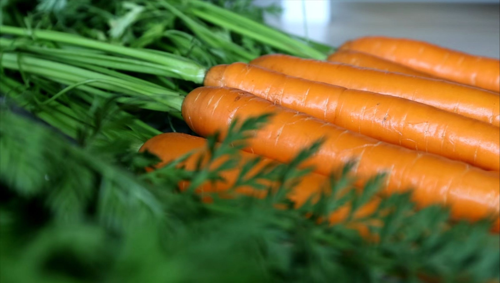 微信图片_20250516165811