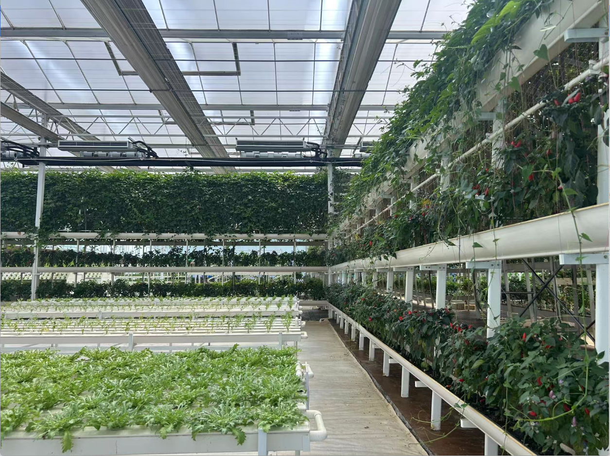 wechat_2025-09-10_090848_241