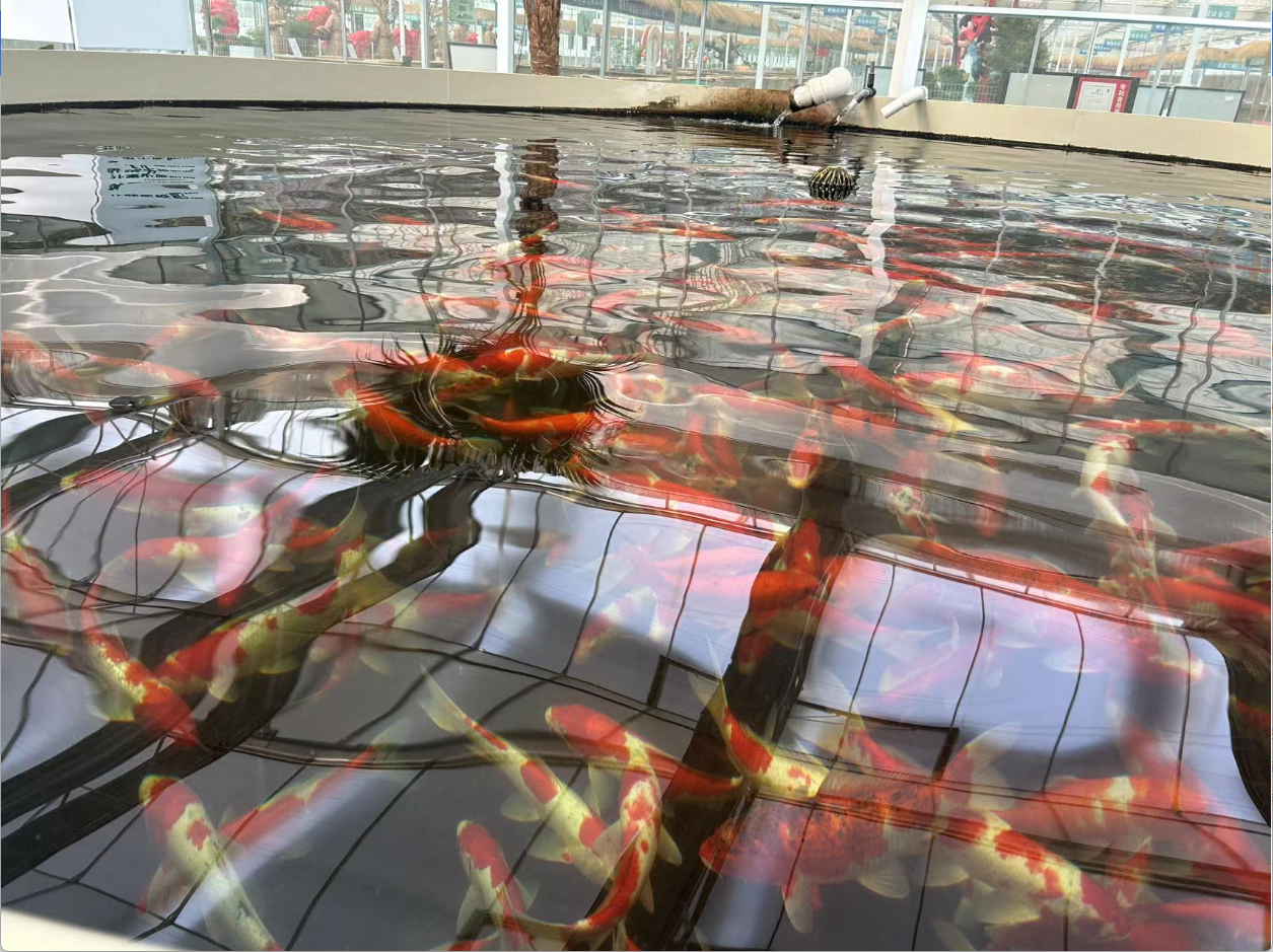 wechat_2025-09-10_090905_872