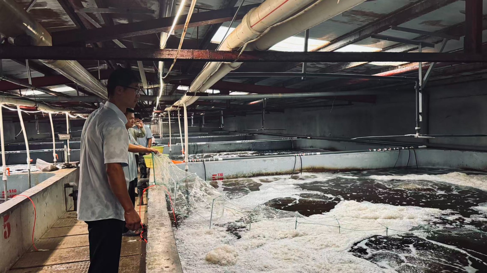 微信图片_20250915094256_6084_1