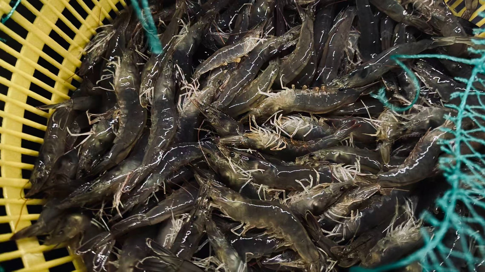 微信图片_20250915094248_6081_1