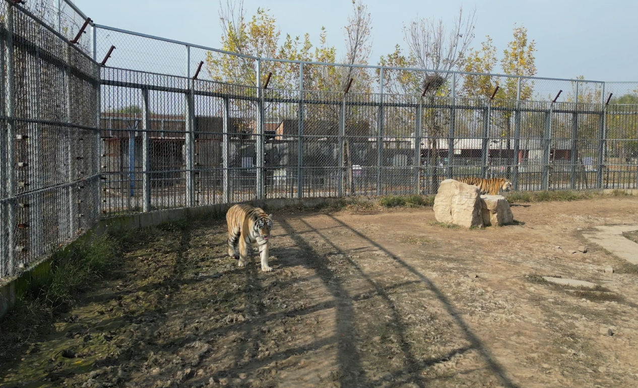 微信图片_20251114150446_15_322