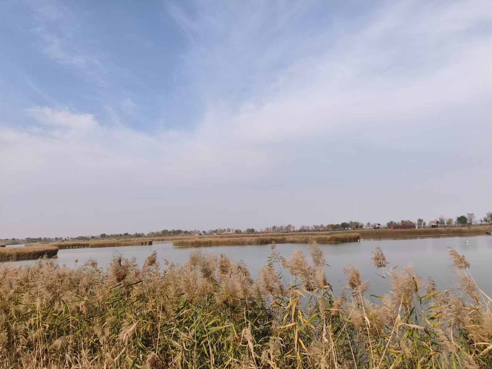 微信图片_20251114101734_225_158