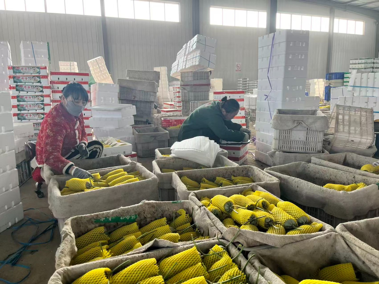 微信图片_20260313102352_2952_5