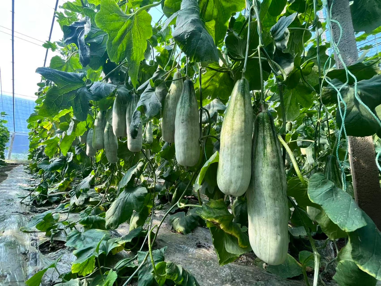 微信图片_20260313102349_2950_5