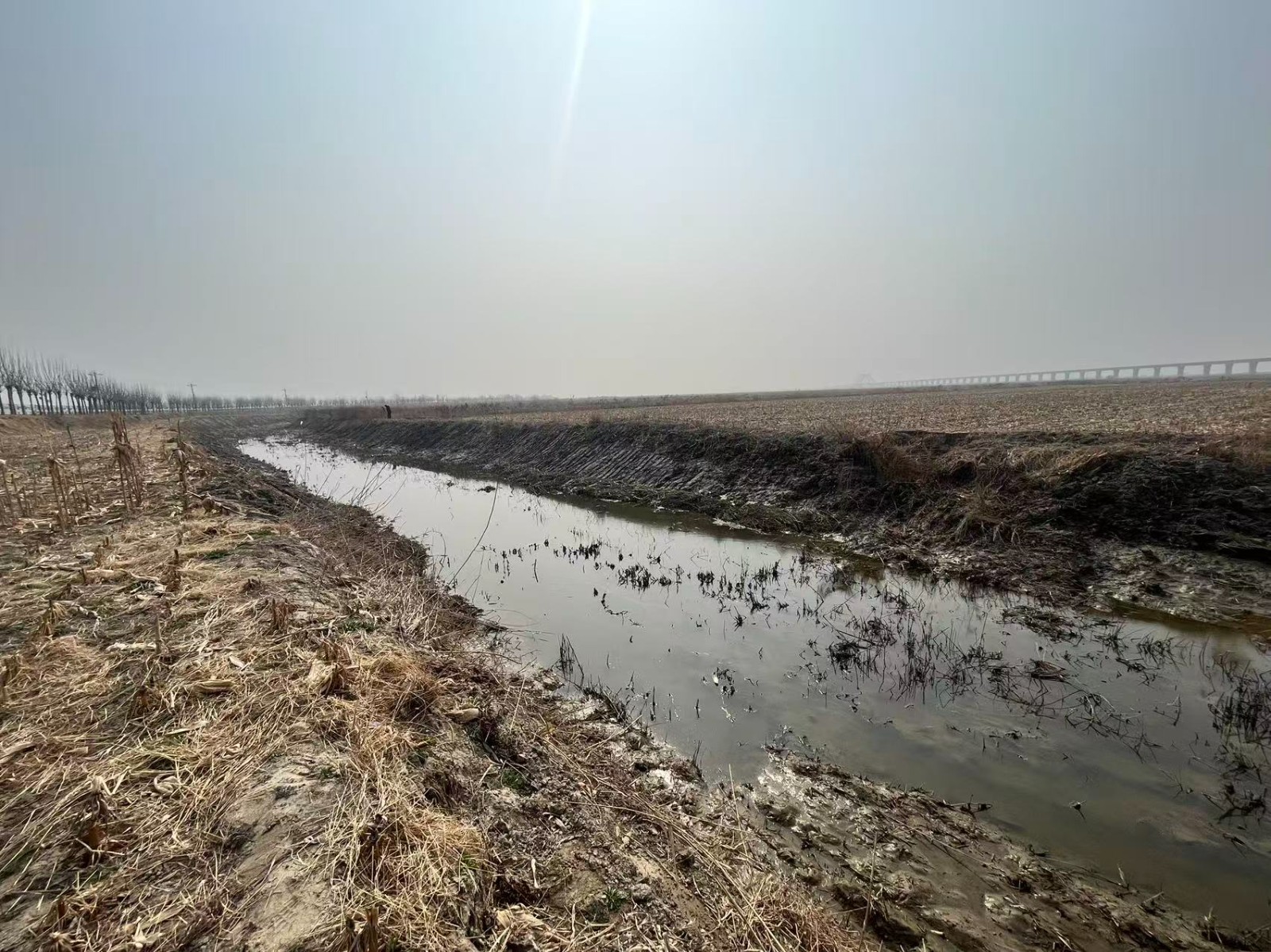 微信图片_20260317102245_3076_5