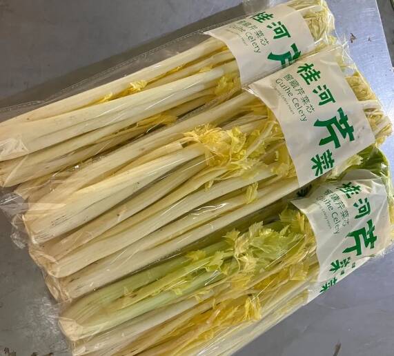寿光桂河芹菜可以生吃的窖藏软黄金