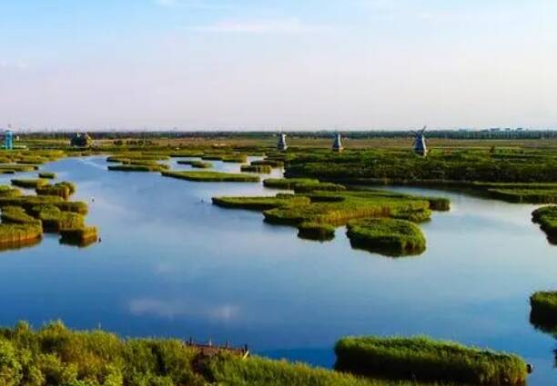 潍坊寿光市体验汉字之美走进现代农业线路入围潍坊和美乡村游精品路线