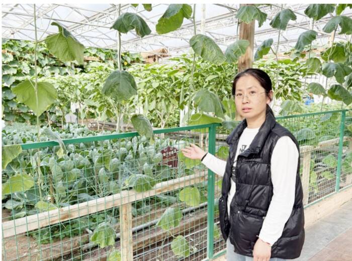 微信截图_20250507085044