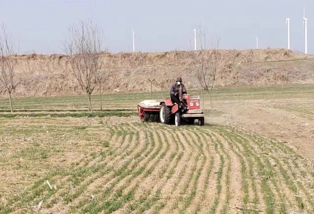 潍坊诸城桃林镇万象耕新按下春耕生产加速键