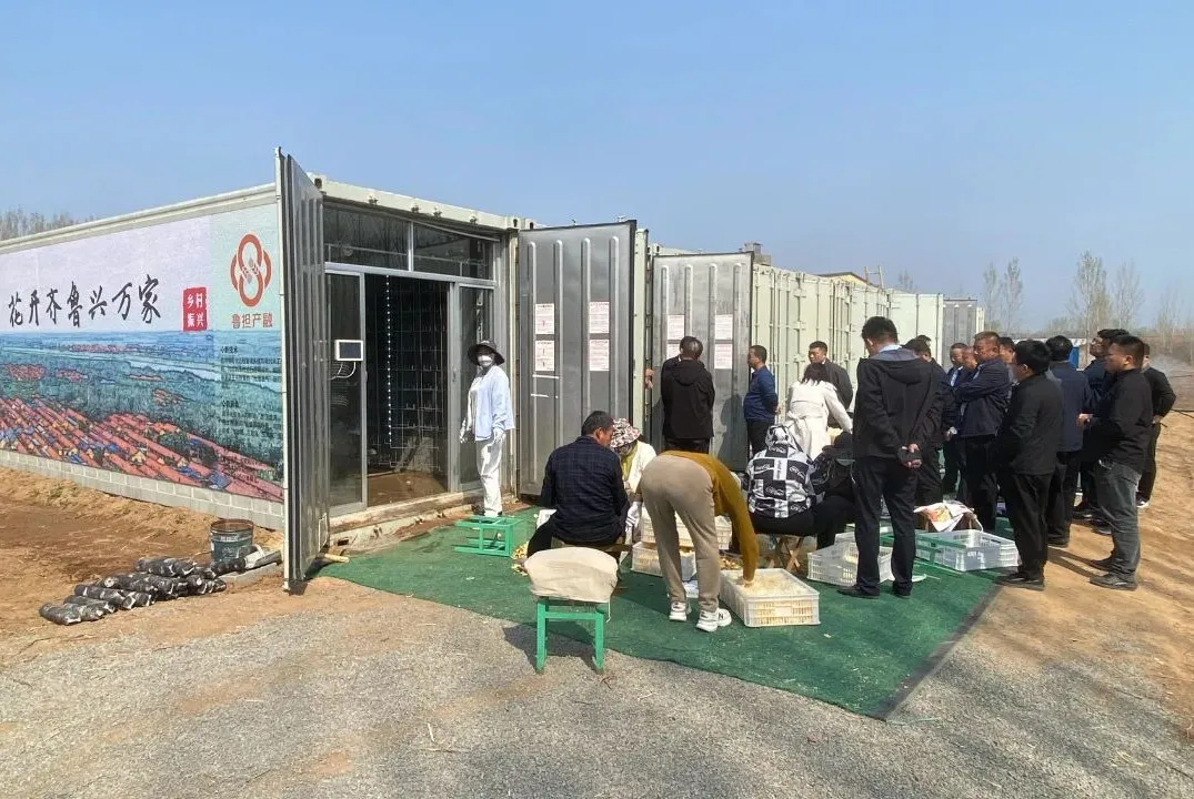 潍坊诸城龙都街道:科技赋能"微型工厂" 智慧农业不可"菇"量
