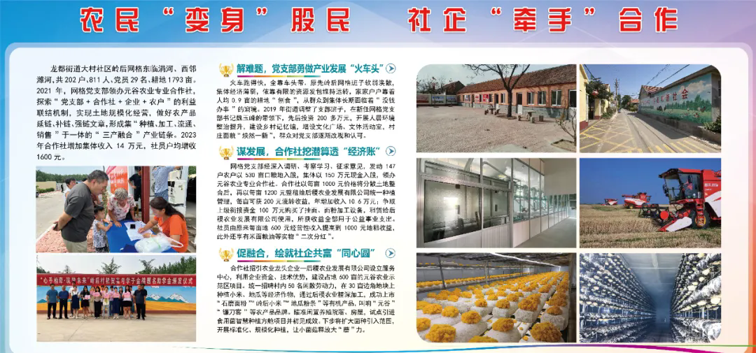 潍坊诸城龙都街道:科技赋能"微型工厂" 智慧农业不可"菇"量