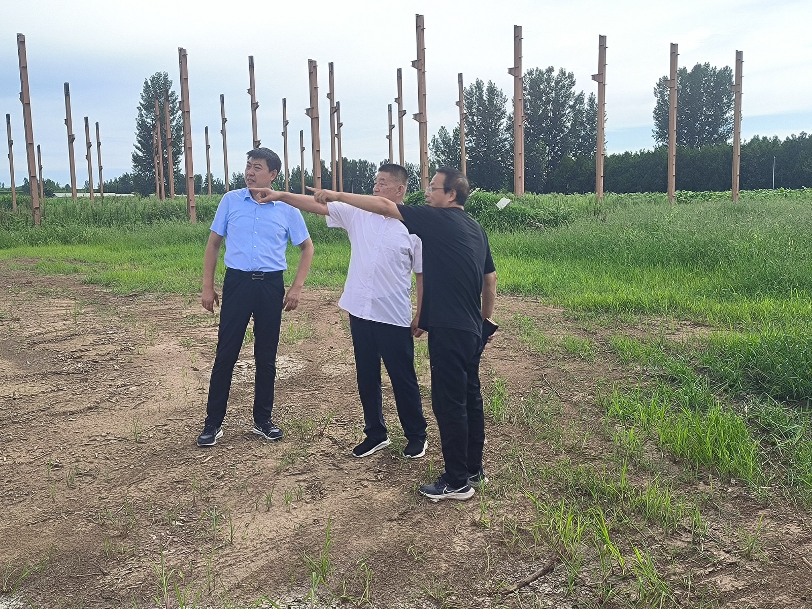 潍坊诸城石桥子镇:发挥人大代表宣传和监督作用严守耕地红线