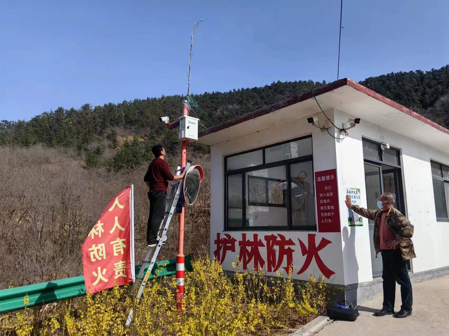 潍坊临朐沂山每一棵树都有眼睛