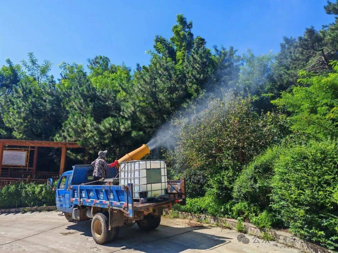 花卉养护:植物与环境的和谐相处艺术