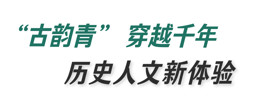 图怪兽_未命名_4.png